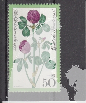 NSR 0951 ** - 1977